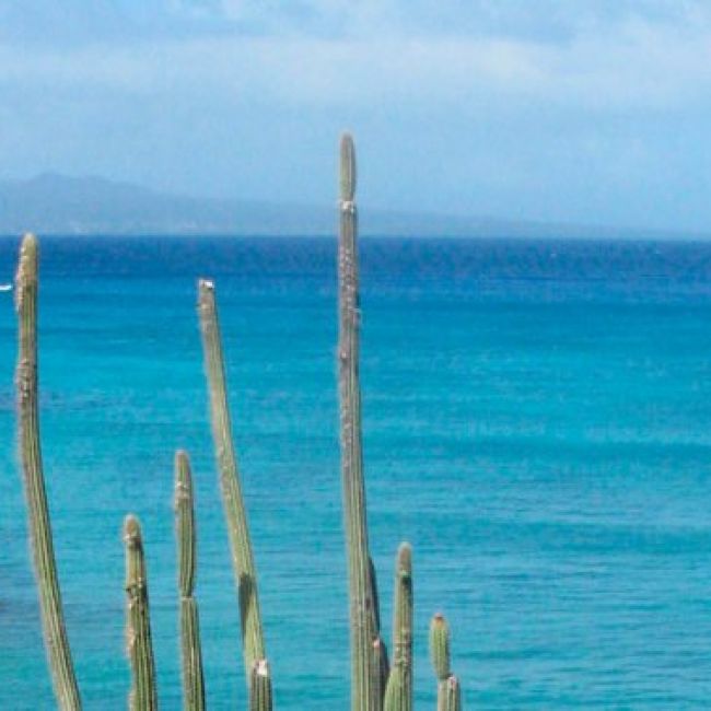 Turismo en Formentera